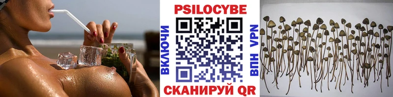 Галлюциногенные грибы мицелий Галич